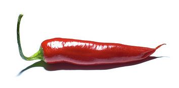 chiliproject logo